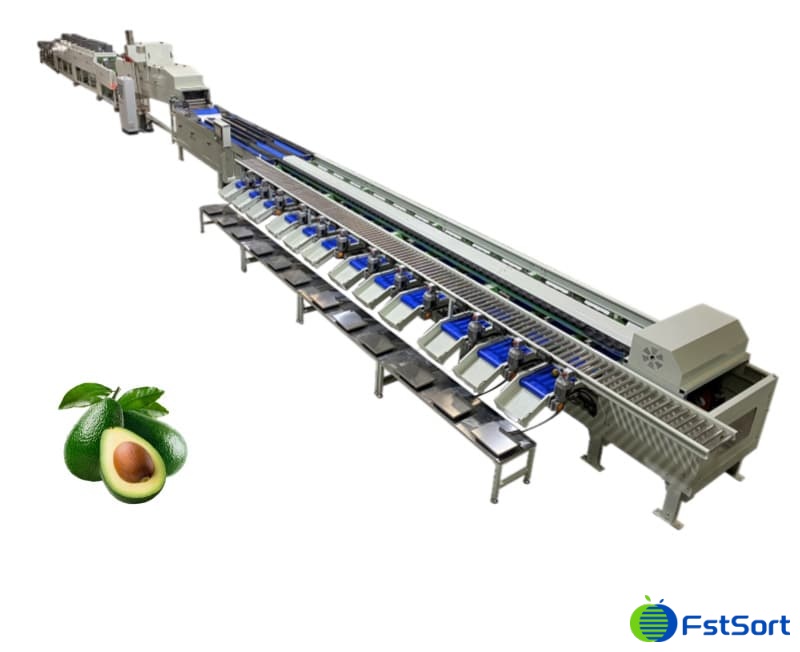 images/1672818697816fruit cleaning sorting packing line 拷贝2.jpg